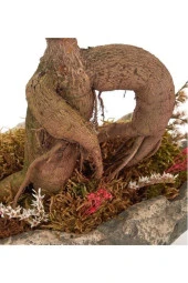 Ağaç Kabuğu Beton Saksıda Bonsai thumbnail 4