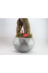 Ficus Ginseng Bonsai & Gri Geometrik Beton Saksıda Hediyelik Canlı Çiçek - 3