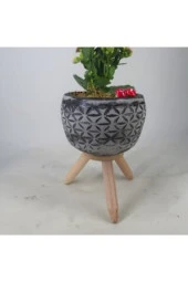 Pembe Kalanşo Kalanchoe & Siyah Bers Ayaklı Beton Saksıda Hediyelik Canlı thumbnail 3