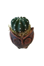 Baykuş Saksıda Kaktüs - Dekoratif Tasarım Saksı thumbnail 5