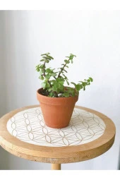 Portulacaria Afra Para Bitkisi thumbnail 1