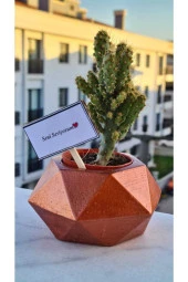 Seni Seviyorum Beton Saksı Ve Kaktüs Aranjman thumbnail 1