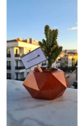 Seni Seviyorum Beton Saksı Ve Kaktüs Aranjman thumbnail 2