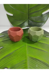 2li Sukulent Kaktus Saksı (6x6x6cm) - 1