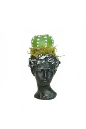 Helen Saksıda Kaktüs thumbnail 1