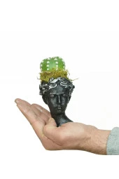 Helen Saksıda Kaktüs thumbnail 2