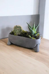 Fil Ayağı Dekoratif Taş Saksıda Mini Aranjman 01 - 2