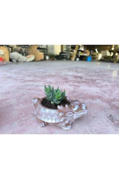 Taş Ejder Saksıda Sukulent thumbnail 7