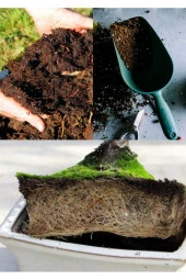 15 litre Bonsai Toprağı %100 Organik ve Katkısız Torf 17 Bitkinin Çözülmesinden Oluşmuş - 2