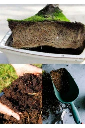 20 litre Bonsai Toprağı %100 Organik ve Katkısız Torf 17 Bitkinin Çözülmesinden Oluşmuş - 5
