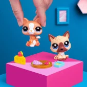 Hasbro Littlest Petshop Figür Minişler 2'li Paket Hayvanlar Kahverengi Kedi-Köpek 00506 (KOLİ İTEMİ S00005264) - 3