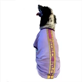 Purple Gold Sport Tişört Orta ve Büyük Irklar İçin - 5