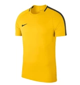 NİKE M Dry Acdmy18 Top Ss Erkek Futbol Tişörtü 893693-719 - 1
