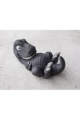 Tatlı Yavru T-Rex Oyuncağı - 1