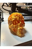 Süslü Kafatası Kurukafa Dekoru 24 Cm - 1