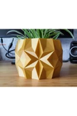 Kış Yıldızı Desenli Çiçek Ve Skulent Saksısı 8 Cm - 1
