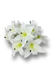 Nettenevime Yapay Çiçek Islak Lilyum Beyaz Renk 9 Çiçekli 55cm Gerçeksi Doku A Kalite thumbnail 3