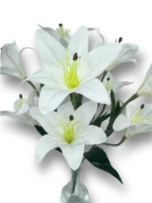 Nettenevime Yapay Çiçek Islak Lilyum Beyaz Renk 9 Çiçekli 55cm Gerçeksi Doku A Kalite thumbnail 5