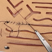 Tıp - Veteriner Hekimliği Siyah Masa Tipi Dikiş, Ligatür, Anastomoz Eğitim Seti - Kişiye Özel - PraticMed - 6