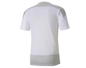 Puma 656482 Teamgoal 23 Training Jersey T-Shirt Dry-Cell Erkek Tişört - 8