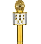 Concord Mikrofon Karaoke C-8501 Bluetooth Usb Tf Aux Giriş Türkçe Seslendirme - 1