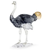 5636302 Swarovski Biblo Elegance of Africa SCS Ostrich Makena - 1