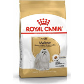 Royal Canin Maltese Terrier Adult Yetişkin Köpek Maması 1,5 kg Maltese Bichon Maltais - 1