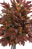 Yapay Ağaç Bodur Akçaağaç Ağacı 150cm Bordo-Sarı-Yeşil - 9