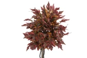 Yapay Ağaç Bodur Akçaağaç Ağacı 150cm Bordo-Sarı-Yeşil - 3
