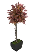 Yapay Ağaç Bodur Akçaağaç Ağacı 150cm Bordo-Sarı-Yeşil - 7