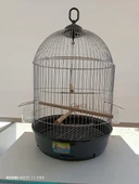 QH Yuvarlak Salon Kafesi Krom 34x55 cm - 3