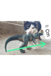 Jurassic World Figür Dinazor Oyuncak 27 Cm Hareketli Ağız Dinozor Figür - 4