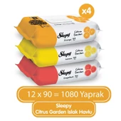 Sleepy Islak Havlu Mendil Meyve Çeşitleri 90 Yaprak (18 Li Set) Plastik Kapaklı (Citrus Garden) - 3