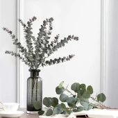 Nettenevime Yapay Çiçek Pastel Yeşil Kahverengi Okaliptus 48cm 3Dallı Uzun Dal Eucalyptus thumbnail 3