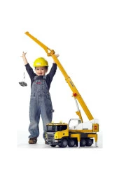 Scania R Serisi Liebherr Vinçli Kamyon - 2