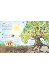 Hadi Ormana Gidelim - 2