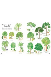 Hadi Ormana Gidelim - 4