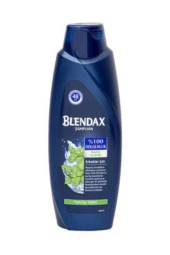 BLENDAX Şamp.550ml Erkek Kepek - 1