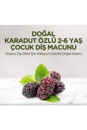 EYÜP SABRİ TUNCER Doğal Karadut Özlü 2-6 Yaş Çocuk Diş Macunu 60 Ml - 3