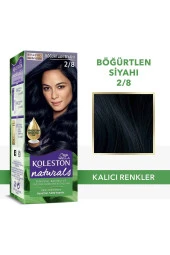 Wella Koleston Naturals Saç Boyası 2/8 Böğürtlen Siyahı thumbnail 1