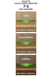 PALETTE Kalıcı Doğal Renkler 7-5 Açık Karamel Boya - 3