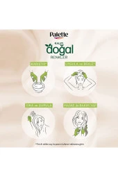 PALETTE Kalıcı Doğal Renkler Saç Boyası 8-77 Tarçın Bakır - 5