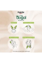 PALETTE Kalıcı Doğal Renkler 10-0 Açık Sarı - 5