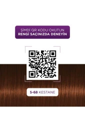 PALETTE Göz Alıcı Renkler Kestane Saç Boyası 5-68 Saç Boyası thumbnail 3