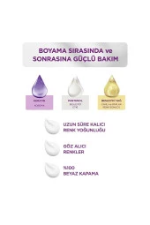 PALETTE Göz Alıcı Renkler Kestane Saç Boyası 5-68 Saç Boyası thumbnail 4