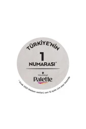 PALETTE Göz Alıcı Renkler 7-0 Kumral - 5