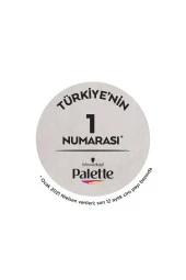 PALETTE Göz Alıcı Renkler Saç Boyası No: 10.1 Küllü Açık Sarı thumbnail 4