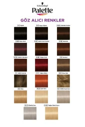 PALETTE Göz Alıcı Renkler Saç Boyası No: 1.0 Siyah thumbnail 5