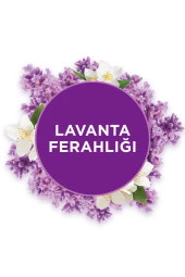 GLADE Banyo Cihaz Ve Yedek Lavanta, 10 Ml thumbnail 3