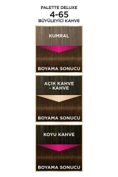 PALETTE Deluxe 4-65 Büyüleyici Kahve - 5